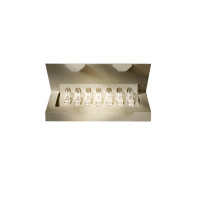 Biodroga Golden Caviar Concentrate — Seerum Biodroga Golden Caviar Concentrate — Seerum