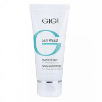 GIGI Sea Weed Soapless Soap For Normal to Oily Skin 100 ml|クレンジング GIGI Sea Weed Soapless Soap For Normal to Oily Skin 100 ml|クレンジング