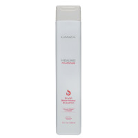 L'Anza Healing ColorCare Silver Brightening Shampoo 300ml — Шампуні L'Anza Healing ColorCare Silver Brightening Shampoo 300ml — Шампуні